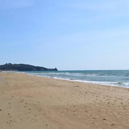 Aloha Sul Mare *