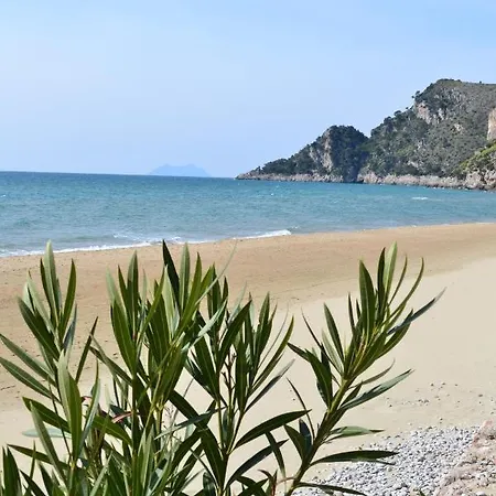 Aloha Sul Mare *